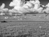 Big Cypress National Preserve & Everglades National Park