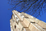 DSC04988a-w.jpg