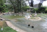 Kl Bird Park