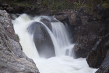 IMG_3883_1.jpg