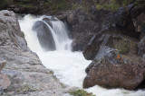 IMG_3892_1.jpg