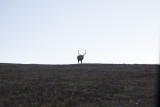 IMG_4062.jpg