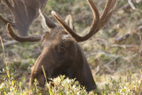 IMG_5635.jpg