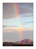 TX-Rainbow-2.jpg