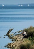 IJmeer - Muiden