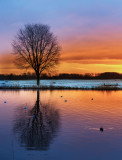 Langs de Amstel even na zonsopgang