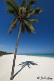Palm Shadows, Varadero 1