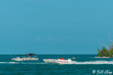 Rum Runners in Key West  2014  30