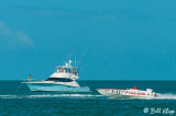 Rum Runners in Key West  2014  31