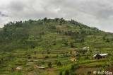 Rwanda Scenics  3