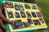 Virunga National Park Gorilla Guides  3