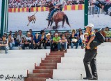 Cuban Rodeo 14