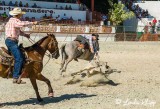 Steer-tailing, Cuban Rodeo  16