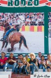 Cuban Rodeo 17
