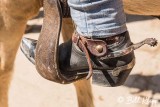 Cuban Rodeo 24