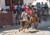 Steer-tailing, Cuban Rodeo 2