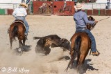 Steer-tailing, Cuban Rodeo  6