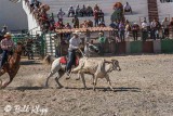 Steer-tailing, Cuban Rodeo 8