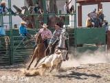 Steer-tailing, Cuban Rodeo 11
