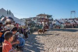 Bull Riding, Cuban Rodeo 8