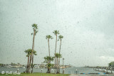 Need Rain, Discovery Bay Marina 2