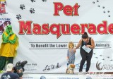 Pet Masquerade, Fantasy Fest  2015  249