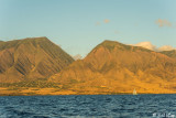 Maui Scenics  1