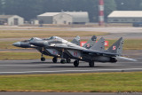 riat029.jpg