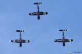 aap28.jpg