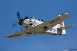 eaa15-110.jpg