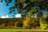 Autumnal