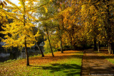 At the Kurpark 