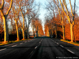 Route Nationale
