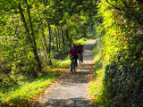 Herbstfahrt