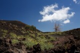 Etna