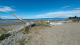 Low Tide