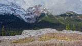 Fresh Snow