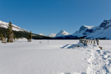 Winter Bridge