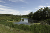 Farmscape Pond