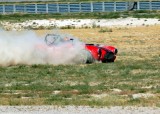 A Cobra is not a good off-road vehicle!