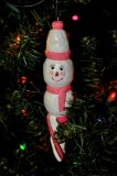 Mary Kay Snow lady for my wife