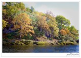 Autumn Colours