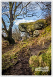 Brimham Rocks, North Yorkshire