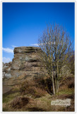 Brimham Rocks, North Yorkshire