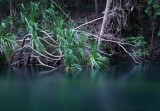 tranquil waters