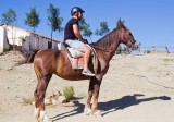 Estepona2014_469.jpg