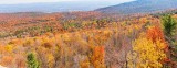 Autum Colors II