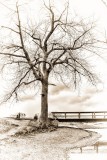 Landscape in Portrait Orientation