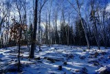 Dewey Mt. 1