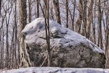 Dewey Mt. 7